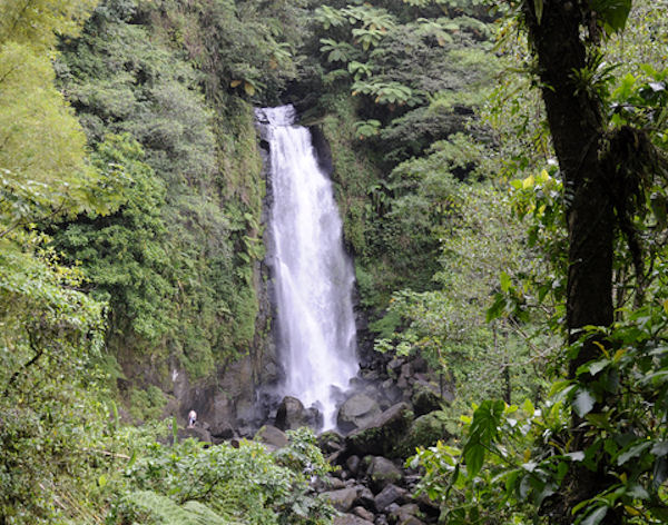 Dominica's Jewels